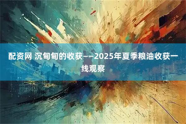 配资网 沉甸甸的收获——2025年夏季粮油收获一线观察