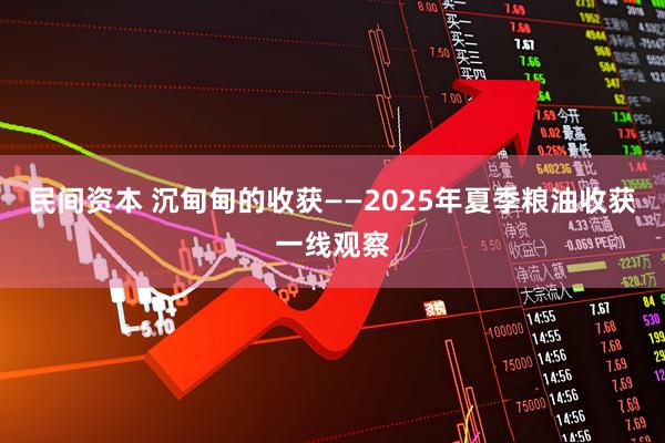 民间资本 沉甸甸的收获——2025年夏季粮油收获一线观察