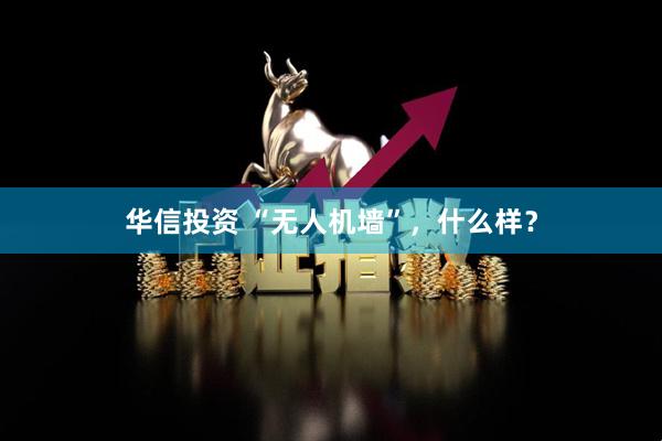 华信投资 “无人机墙”，什么样？