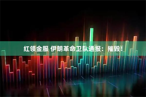 红领金服 伊朗革命卫队通报：摧毁！