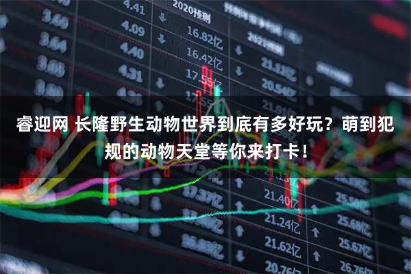 睿迎网 长隆野生动物世界到底有多好玩？萌到犯规的动物天堂等你来打卡！