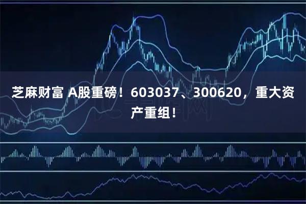 芝麻财富 A股重磅！603037、300620，重大资产重组！