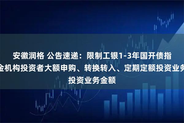 安徽润格 公告速递：限制工银1-3年国开债指数基金机构投资者大额申购、转换转入、定期定额投资业务金额