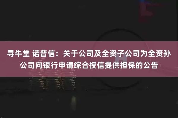 寻牛堂 诺普信：关于公司及全资子公司为全资孙公司向银行申请综合授信提供担保的公告